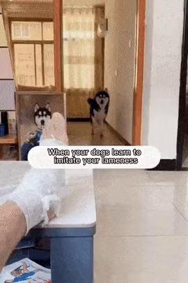 참기름, 들기름, 호두, 땅콩~.mp4